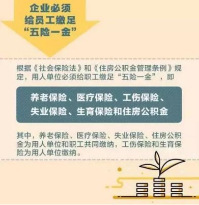 应该怎么缴纳
