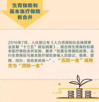应该怎么缴纳？